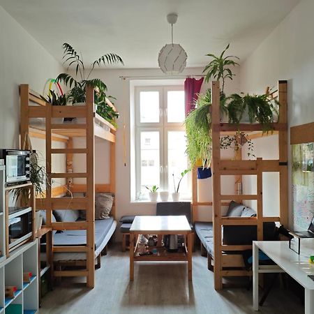 Evergreen Hostel Kraków Exteriör bild