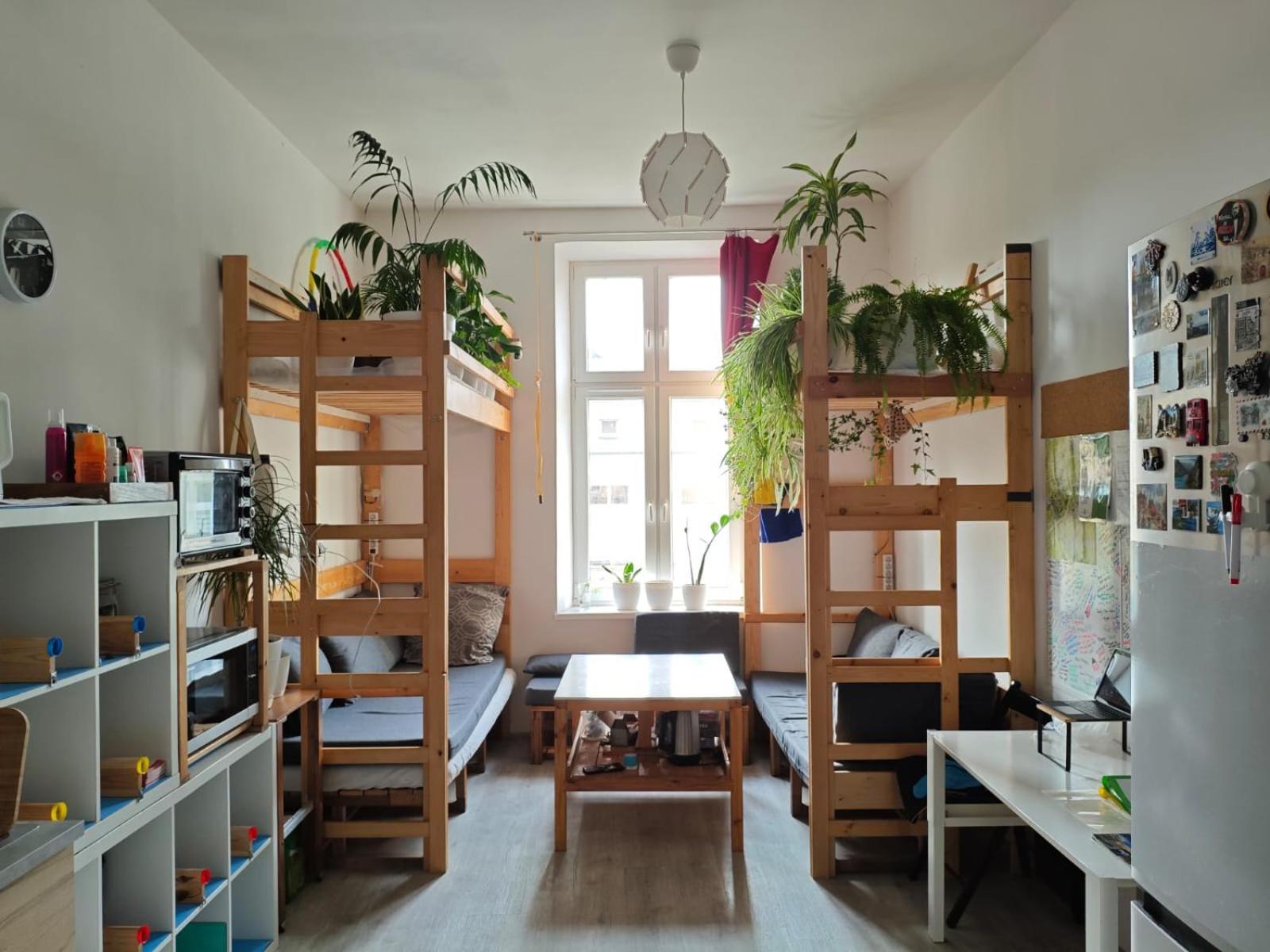 Evergreen Hostel Kraków Exteriör bild