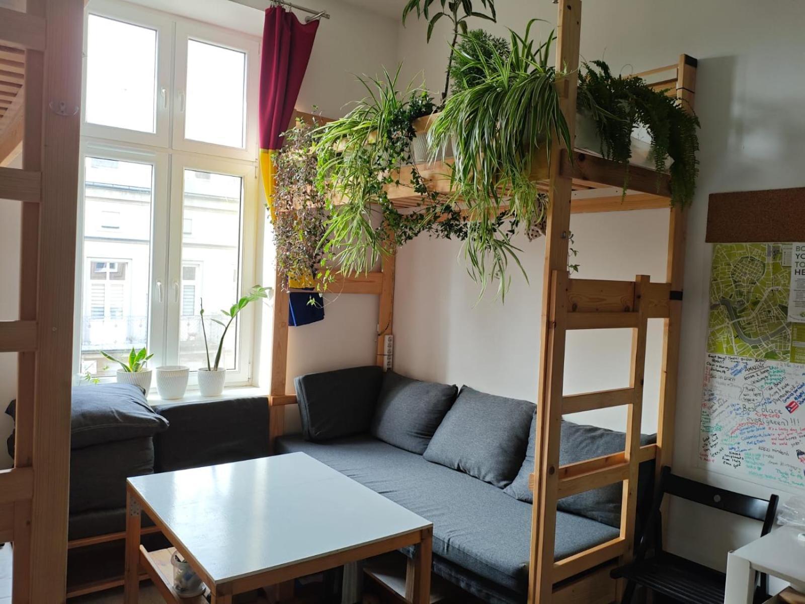 Evergreen Hostel Kraków Exteriör bild